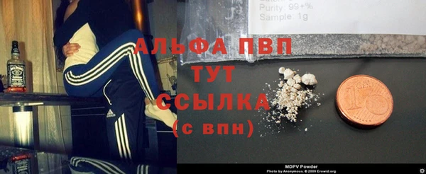 индика Богородицк