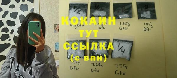 индика Богородицк