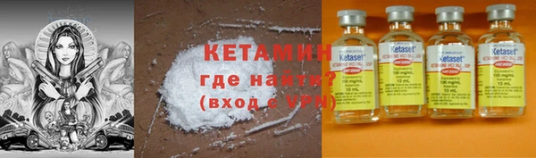 индика Богородицк