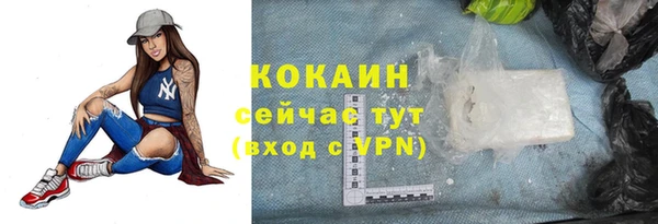 индика Богородицк