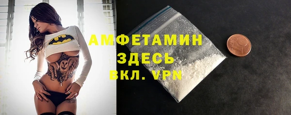 индика Богородицк
