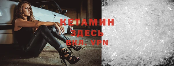 индика Богородицк