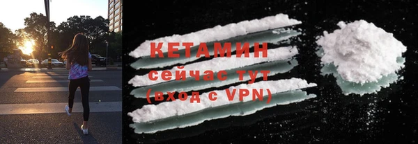 индика Богородицк