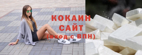 индика Богородицк