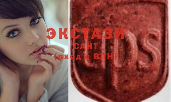 индика Богородицк