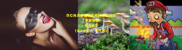 индика Богородицк