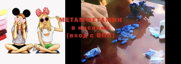 индика Богородицк