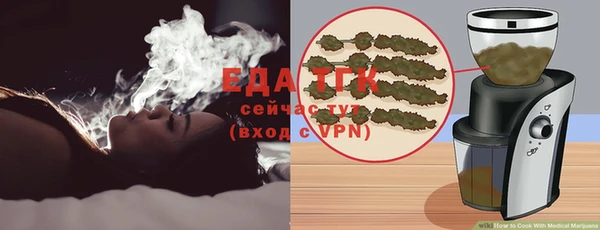 индика Богородицк