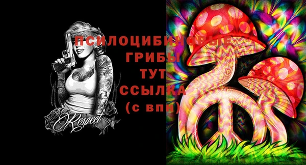 индика Богородицк