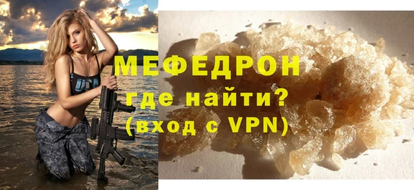 индика Богородицк