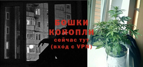 амф Богородск