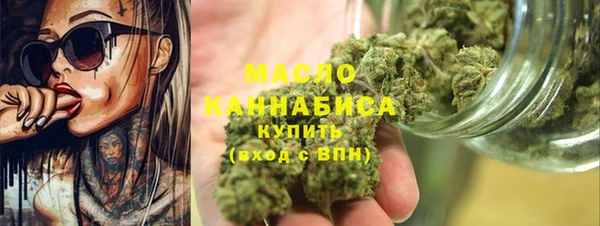 индика Богородицк