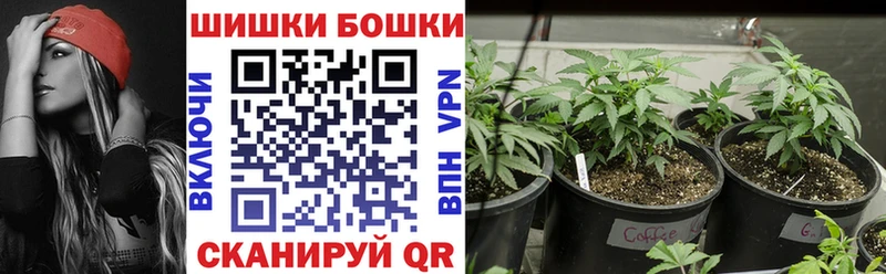Шишки марихуана Amnesia Северодвинск